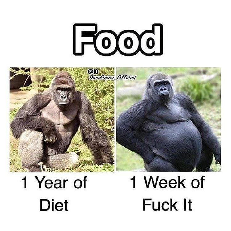 4542