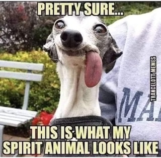 4558