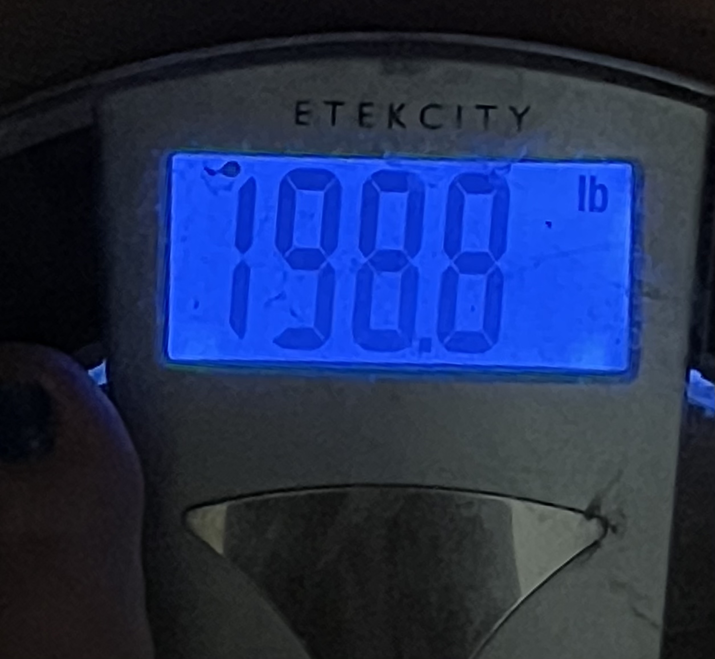 3628