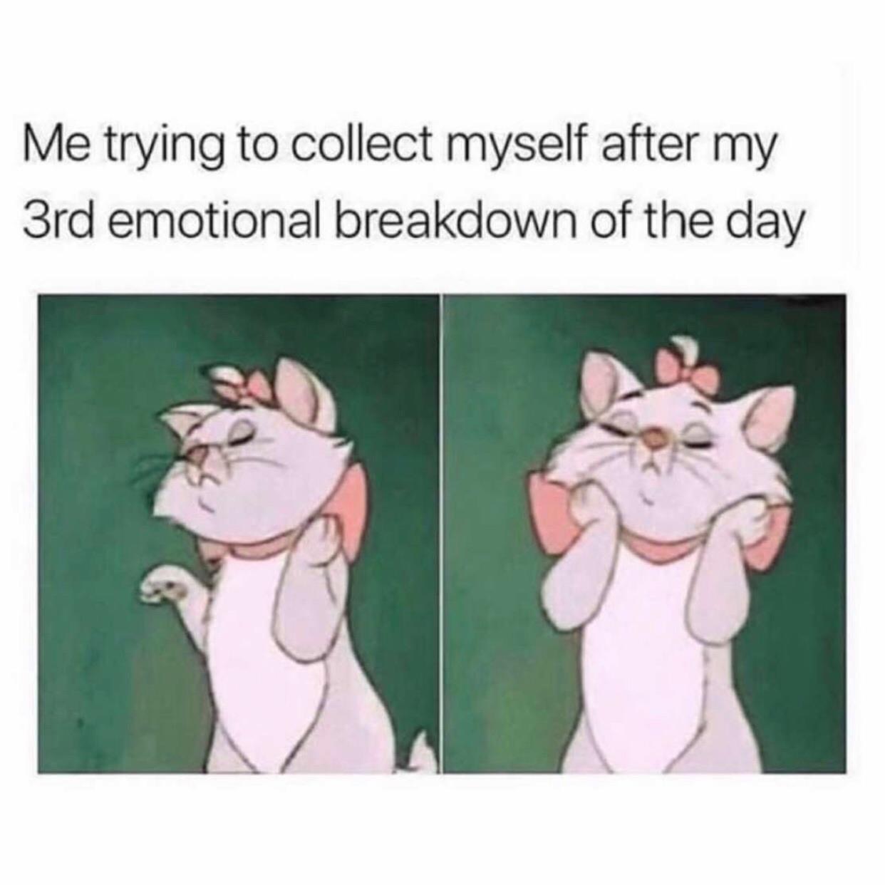 4102