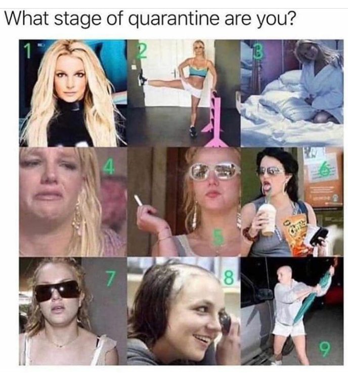2639