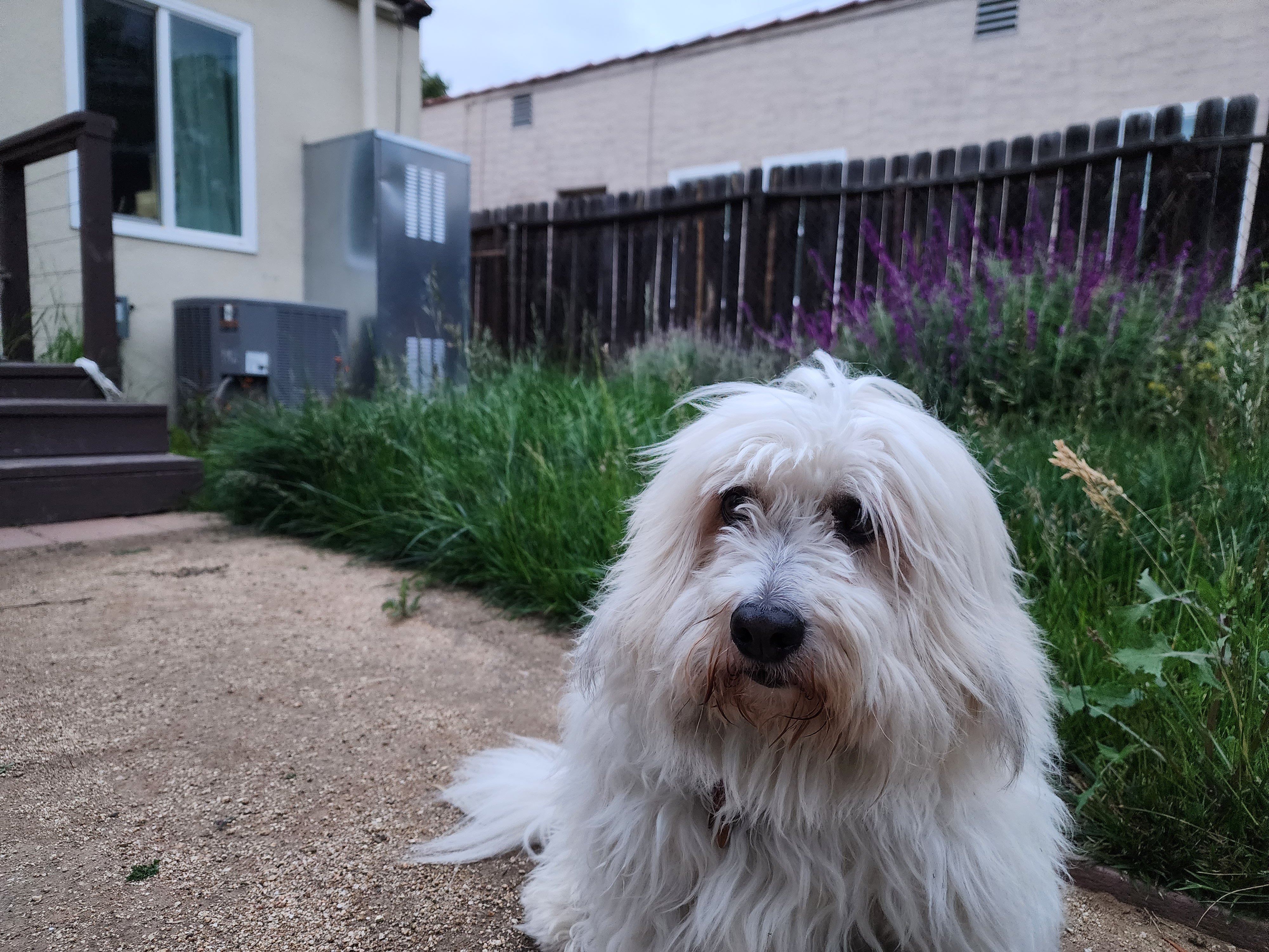 Charlie