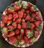 BD1703D2-967D-4823-9215-40AF6D2EEEDF.jpeg