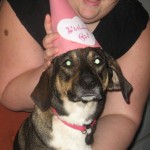 My baby Brandy's 5th birthday (i think)