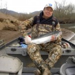 Wilson River Steelhead