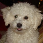 Bobby July 3 2009